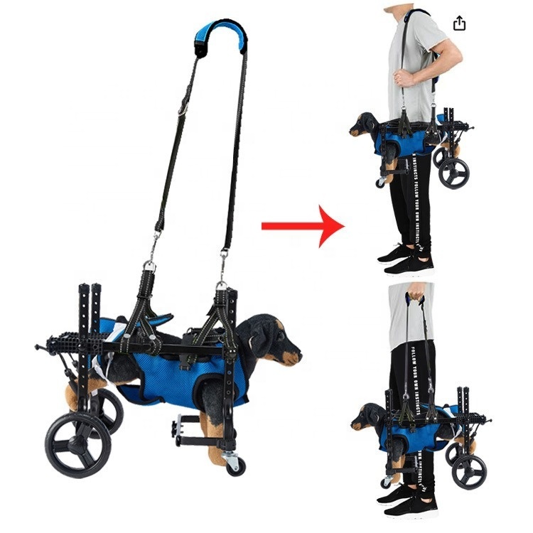 Small Dog Rehabilitation Train - Outdoor Power Wheels ulasan dan harga