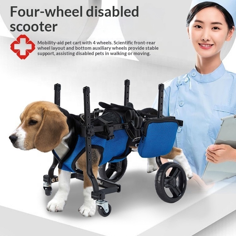 Small Dog Rehabilitation Train - Outdoor Power Wheels ulasan dan harga